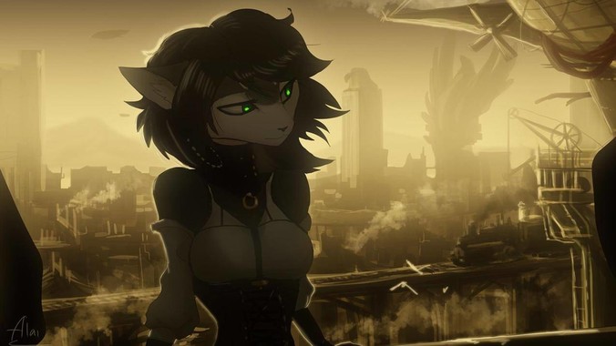 老公想要买2万左右的相机，我该同意吗？